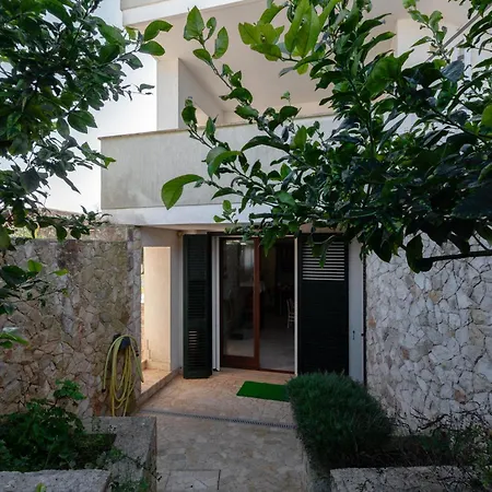 Sunny House Mono With Pool - Happy * Sanarica