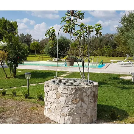 Sunny House Mono With Pool - Happy *